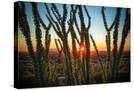 Stretched Canvas