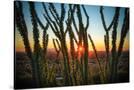 Stretched Canvas