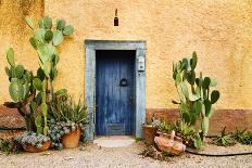 Old Doorway Surrounded by Cactus Plants and Stucco Wall.-BCFC-Photographic Print