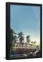 Essential Black