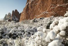 Snow at the Garden of the Gods-bcoulter-Photographic Print