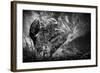 Be Alert-Mathilde Guillemot-Framed Photographic Print