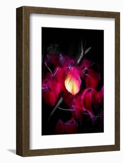 Be Beautiful and Be Quiet-Philippe Sainte-Laudy-Framed Photographic Print