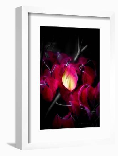 Be Beautiful and Be Quiet-Philippe Sainte-Laudy-Framed Photographic Print