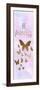 Be Butterflies 6-Kimberly Allen-Framed Premium Giclee Print