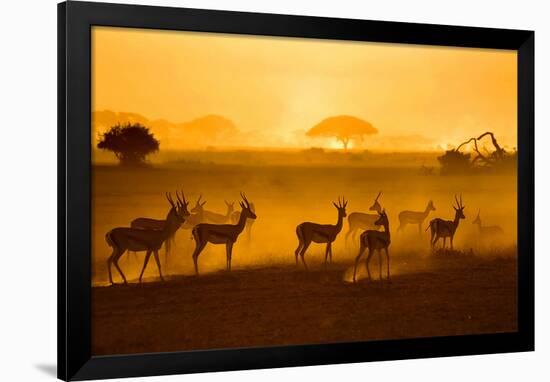 Be Careful-null-Framed Art Print