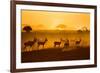 Be Careful-Mathilde Guillemot-Framed Photographic Print