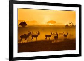 Be Careful-Mathilde Guillemot-Framed Photographic Print