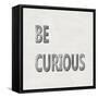 Be Curious-Jamie MacDowell-Framed Stretched Canvas