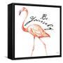 Be Different Flamingo II-Tiffany Hakimipour-Framed Stretched Canvas