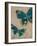 Be Free 1 Detail-Jurgen Gottschlag-Framed Art Print