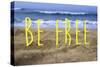Be Free-Kimberly Glover-Stretched Canvas