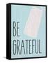 Be Grateful-Kimberly Allen-Framed Stretched Canvas