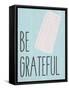 Be Grateful-Kimberly Allen-Framed Stretched Canvas