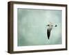 Be Happy and Fly-Robin Dickinson-Framed Art Print