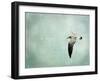 Be Happy and Fly-Robin Dickinson-Framed Art Print