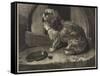 Be it Ever So Humble, There's No Place Like Home-Edwin Landseer-Framed Stretched Canvas