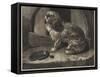 Be it Ever So Humble, There's No Place Like Home-Edwin Landseer-Framed Stretched Canvas