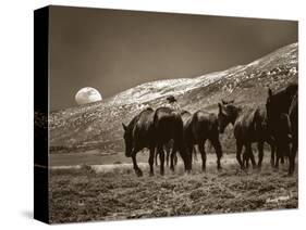 Be it Moon or Sun a Cowboy’s Work’s Never Done-Barry Hart-Stretched Canvas