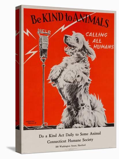 Be Kind to Animals, Calling All Humans, Humane Society Poster-David Pollack-Stretched Canvas