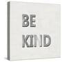 Be Kind-Jamie MacDowell-Stretched Canvas