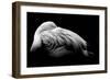 Be Me-Summer Ice-Framed Giclee Print