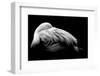 Be Me-Summer Ice-Framed Photographic Print