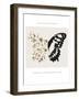 Be Patient-Beth Cai-Framed Photographic Print
