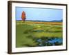 Be Still 1-Don Tiller-Framed Giclee Print