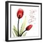 Be Still Tulip-Albert Koetsier-Framed Art Print