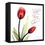 Be Still Tulip-Albert Koetsier-Framed Stretched Canvas