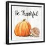 Be Thankful Harvest Hedgehog I-Patricia Pinto-Framed Art Print