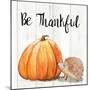 Be Thankful Harvest Hedgehog I-Patricia Pinto-Mounted Art Print