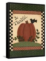 Be Thankful-Debbie McMaster-Framed Stretched Canvas