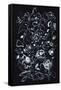 Canvas Black