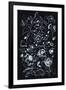 Gramercy Black