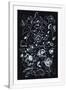 Gramercy White