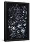 Essential Black