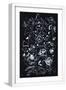 White Frame