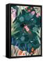 Canvas Black