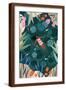 Brown Frame