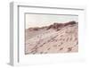 Beach_009-1x Studio III-Framed Photographic Print