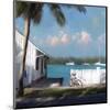 Beach 01-Rick Novak-Mounted Art Print