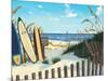 Beach Access-Scott Westmoreland-Mounted Art Print