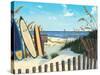 Beach Access-Scott Westmoreland-Stretched Canvas