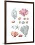 Beach Accumulation-Sandra Jacobs-Framed Giclee Print