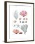 Beach Accumulation-Sandra Jacobs-Framed Giclee Print