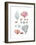 Beach Accumulation-Sandra Jacobs-Framed Giclee Print