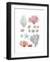 Beach Accumulation-Sandra Jacobs-Framed Giclee Print