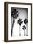 Beach Air I-Ryan Hartson-Weddle-Framed Photographic Print